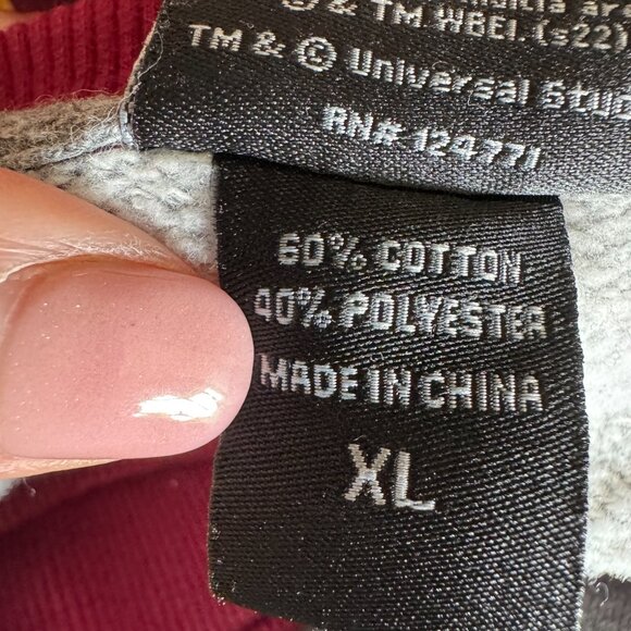 Wizarding World of Harry Potter Gryffindor men's pullover sweatshirt size XL - Picture 6 of 8